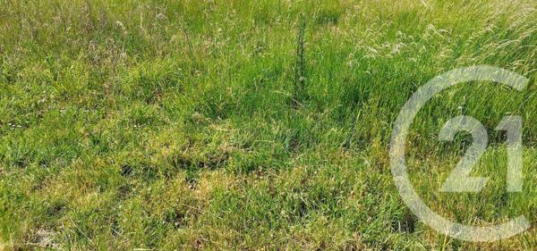 Terrain à vendre  485 m2 AMBLAINVILLE - 60