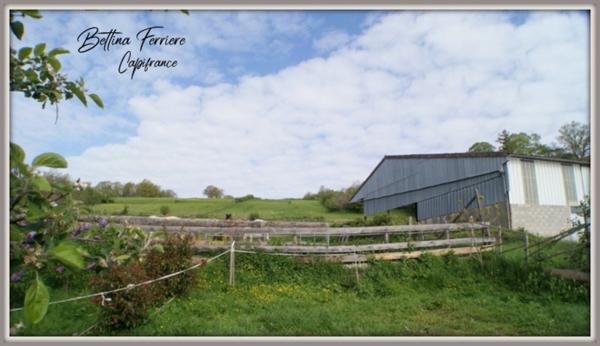 Propriété avec 4ha de terrain