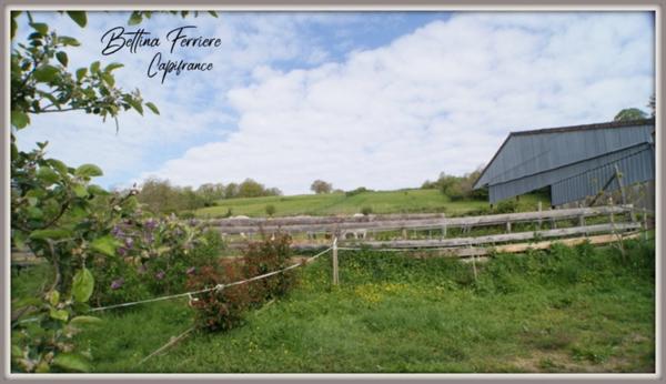 Propriété avec 4ha de terrain