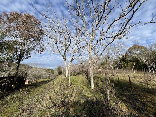 Terrain à vendre |  Auch |  4282 m²