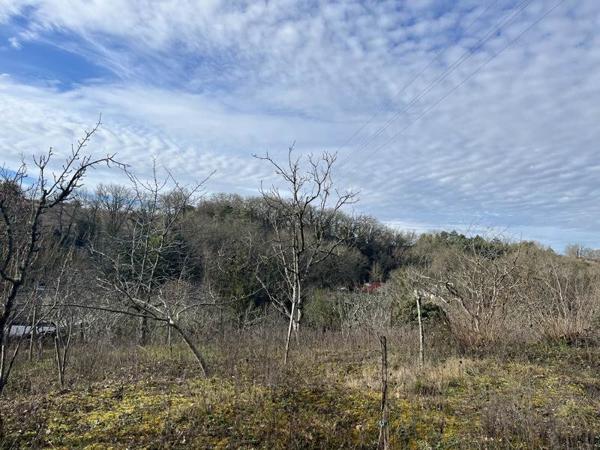 Terrain à vendre |  Auch |  4282 m²