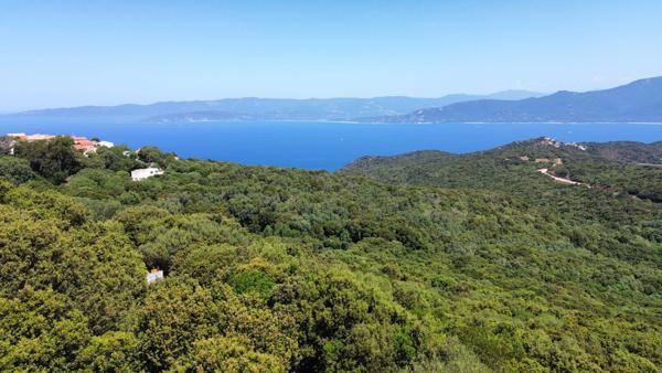 Terrain 2000m² Vue Mer Belvédère Campomoro (TRES RARE) Belvédère-Campomoro (20110)