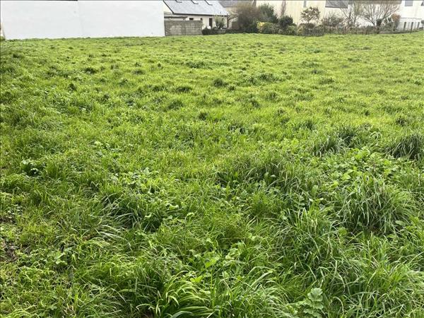 Terrain à vendre |  Treffiagat |  1445 m²