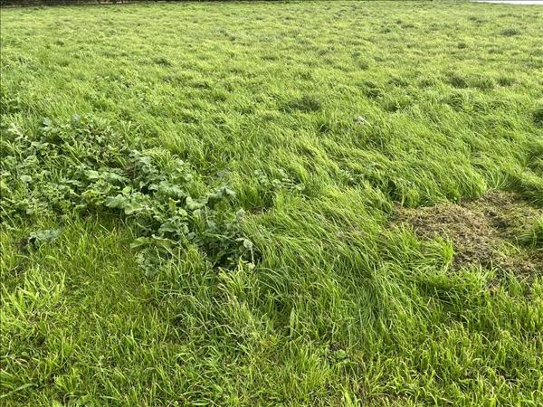 Terrain à vendre |  Treffiagat |  1445 m²