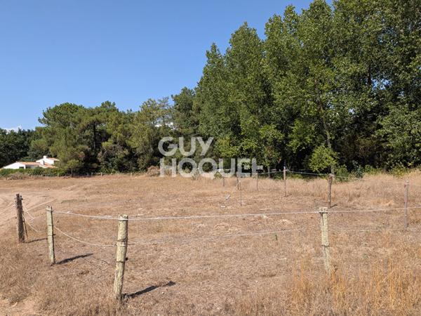 Terrain Saint Hilaire De Riez 1000 m2