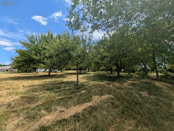 Achat - Maison | Maison rurale Mayet 72360 3 pièces 75 m 2 5618 m 2