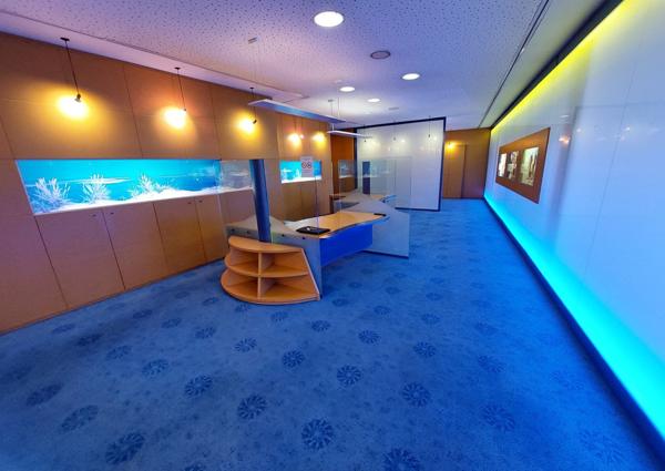 Local commercial ou professionnel