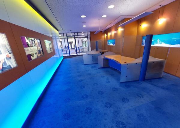 Local commercial ou professionnel