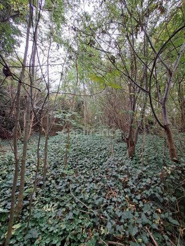 Beau terrain de 811 m² à bâtir (libre de tous constructeurs), maison de 150 m2, en R+1, avec garage, rue des Côteaux à Ormesson-sur-Marne