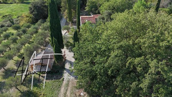 Authentique mas provencal avec oliveraie sur 4Ha