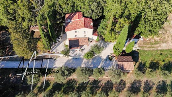Authentique mas provencal avec oliveraie sur 4Ha