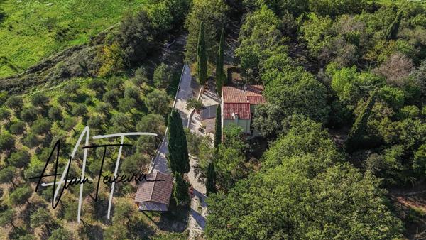 Authentique mas provencal avec oliveraie sur 4Ha