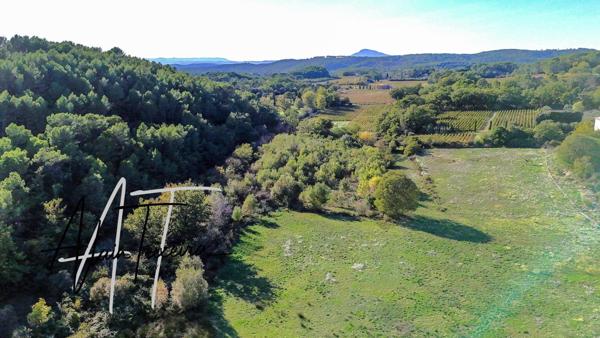 Authentique mas provencal avec oliveraie sur 4Ha