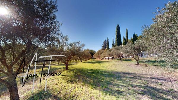 Authentique mas provencal avec oliveraie sur 4Ha