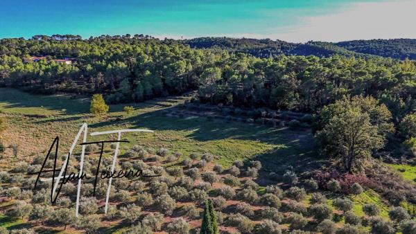 Authentique mas provencal avec oliveraie sur 4Ha