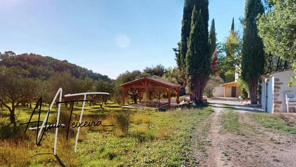 Authentique mas provencal avec oliveraie sur 4Ha