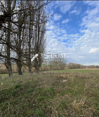Terrain