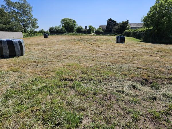 À vendre – Maison au calme, à deux pas des marais de la Grée – Saint-Herblon / Ancenis
