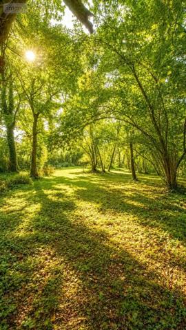 Achat - Maison Brech 56400 6 pièces 185 m 2 6171 m 2