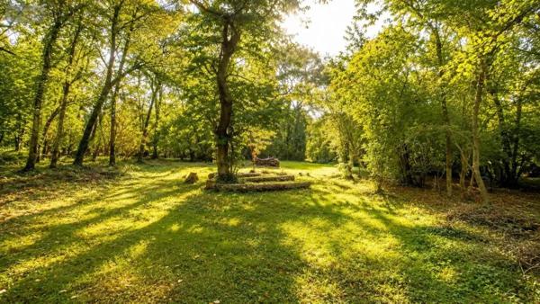 Achat - Maison Brech 56400 6 pièces 185 m 2 6171 m 2