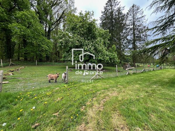 Maison Saint Georges Buttavent 4 pièce(s) 130 m2