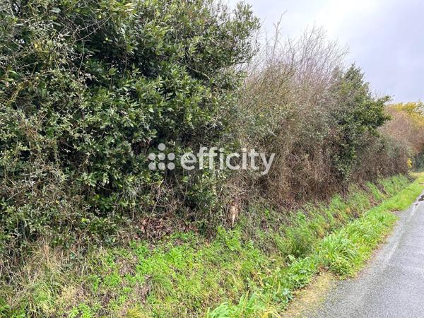 Terrain
        
        - 824 m² Exclusivité 180 000 € *