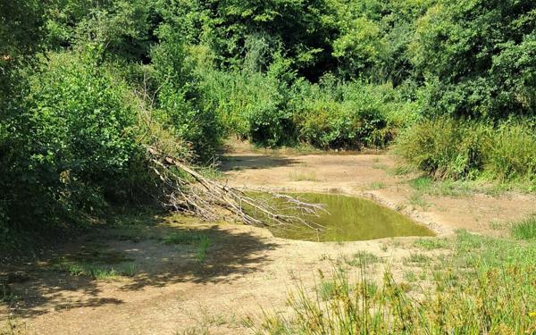 Terrain à vendre    Châteaubriant