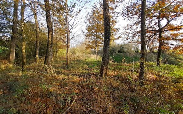 Terrain à vendre    Châteaubriant