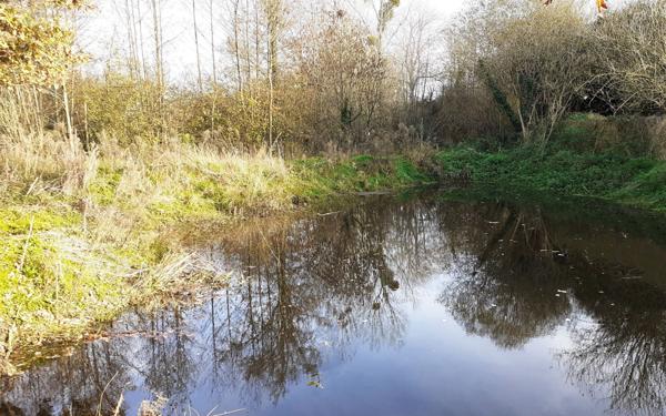Terrain à vendre    Châteaubriant