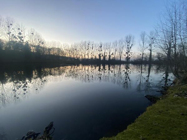 Vente Terrain 21900 m2 à Pré-en-Pail