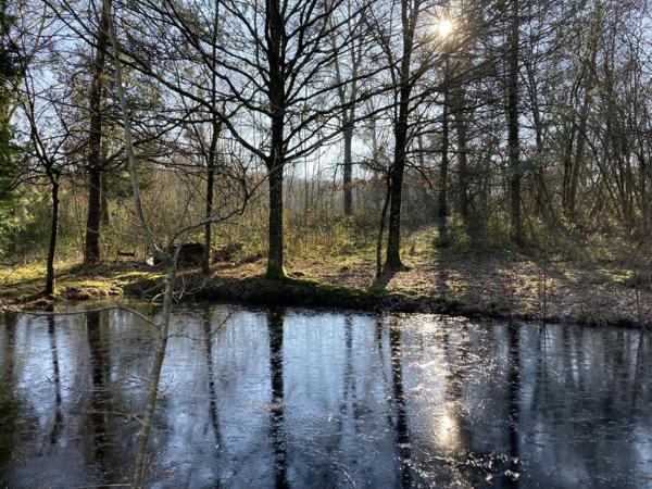 Vente Terrain 21900 m2 à Pré-en-Pail