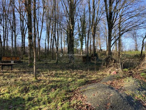 Vente                                                      Terrain
                        
                                         21900 m2                     à Pré-en-Pail