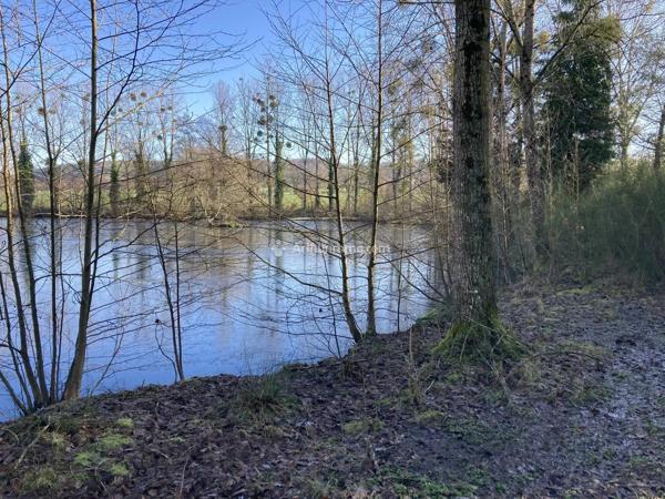 Vente                                                      Terrain
                        
                                         21900 m2                     à Pré-en-Pail
