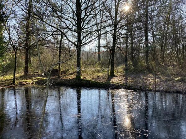 Vente                                                      Terrain
                        
                                         21900 m2                     à Pré-en-Pail