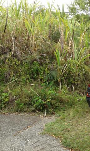 Terrain Sainte Marie 641 m2