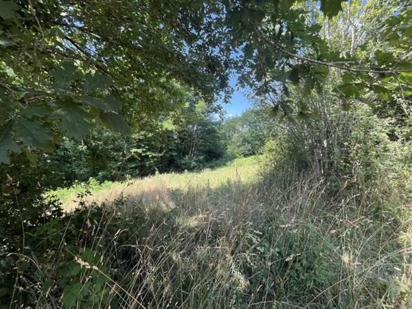 Maison à vendre |  Saint-Léonard-de-Noblat |  7 pièces | 150 m²