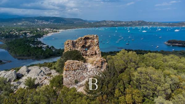 Sainte-Lucie-de-Porto-Vecchio, Terrain constructible  2 499 m² à vendre