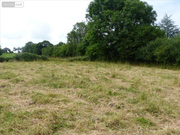 Maison à vendre à La Haye dans la Manche (50250), ref : 50061-1054674