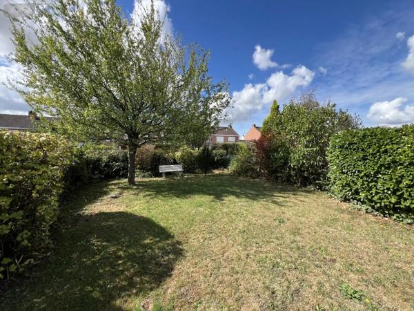 Achat - Maison Faches-Thumesnil 59155 116 m 2 351 m 2