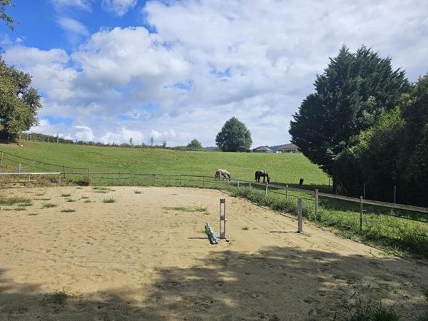 Maison d'exception avec terrain équestre à 5 minutes de Mauléon