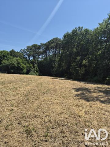 Terrain à vendre 3 565 m² Boucau