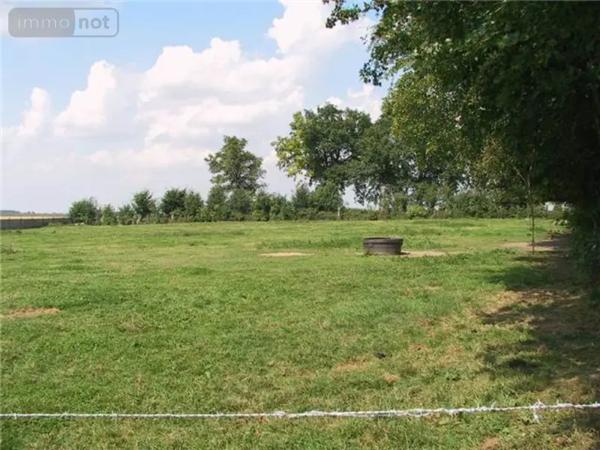 Achat - Terrain à bâtir Busigny 59137 847 m 2