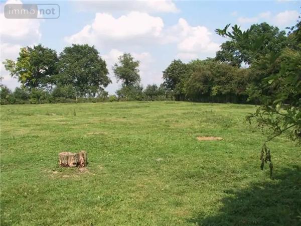 Achat - Terrain à bâtir Busigny 59137 847 m 2
