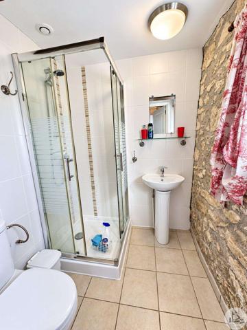 Propriété de caractère avec piscine et deux gîtes