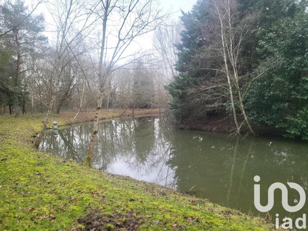 Terrain à vendre 43 309 m² La Cour-Marigny