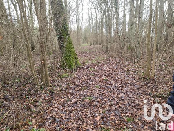 Terrain à vendre 43 309 m² La Cour-Marigny