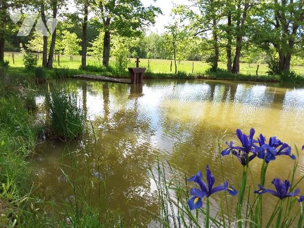 PROPRIETE SUR 9 ha 35 a A 15 MNS DE CONTRES, 30 MNS DE BLOIS