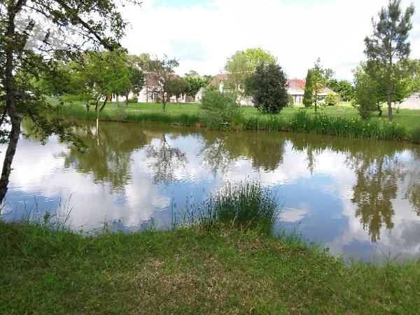 PROPRIETE SUR 9 ha 35 a A 15 MNS DE CONTRES, 30 MNS DE BLOIS