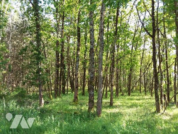 PROPRIETE SUR 9 ha 35 a A 15 MNS DE CONTRES, 30 MNS DE BLOIS