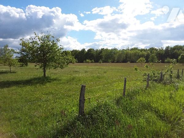 PROPRIETE SUR 9 ha 35 a A 15 MNS DE CONTRES, 30 MNS DE BLOIS